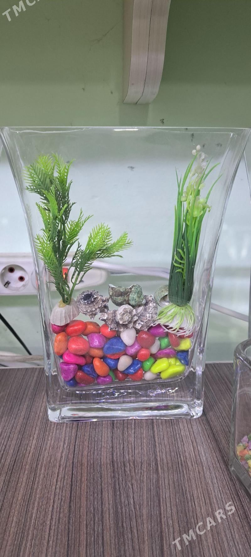 композиции в аквариуме - Aşgabat - img 4