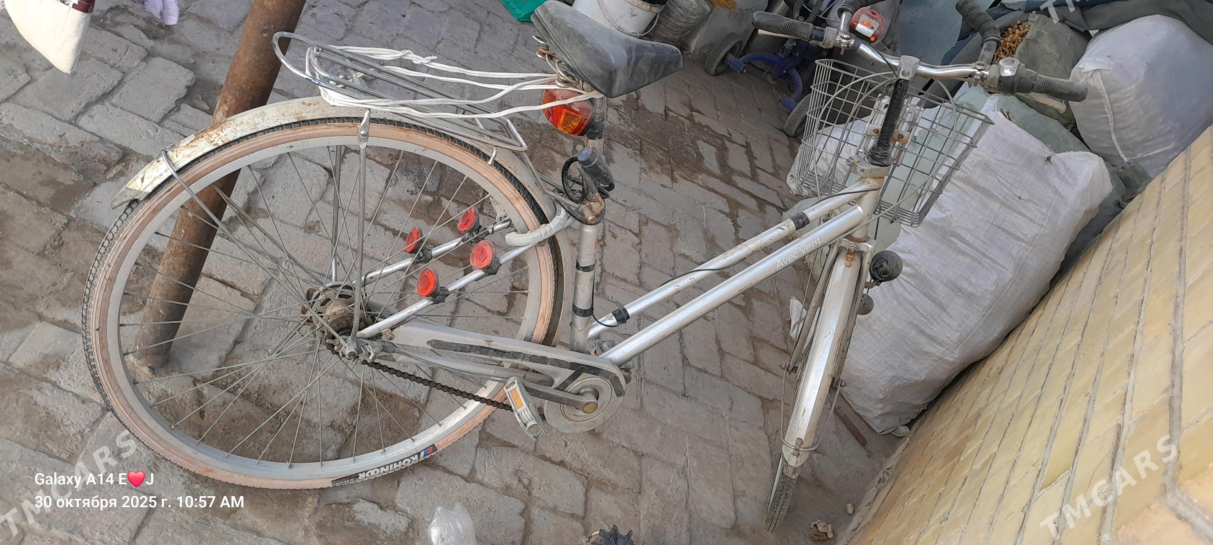 welotsiped - Kerki - img 2