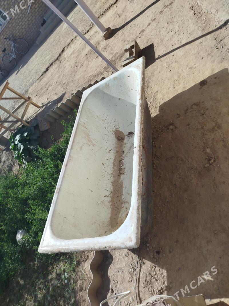 wanna coyun - Mary - img 2