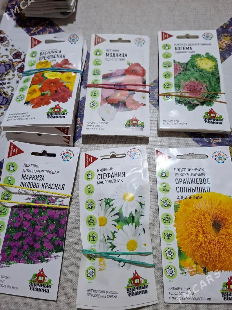 семена цветов Россия - Ашхабад - img 5