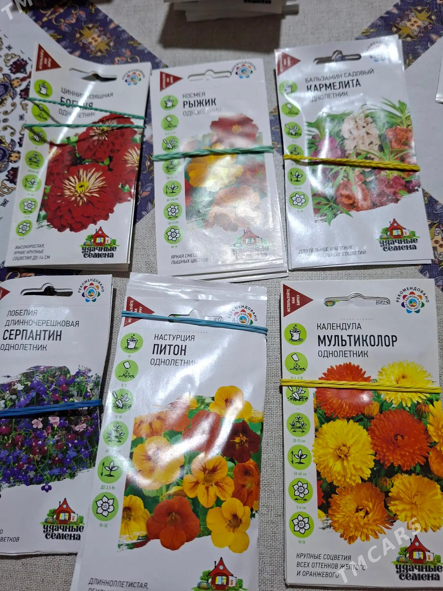 семена цветов Россия - Ашхабад - img 4