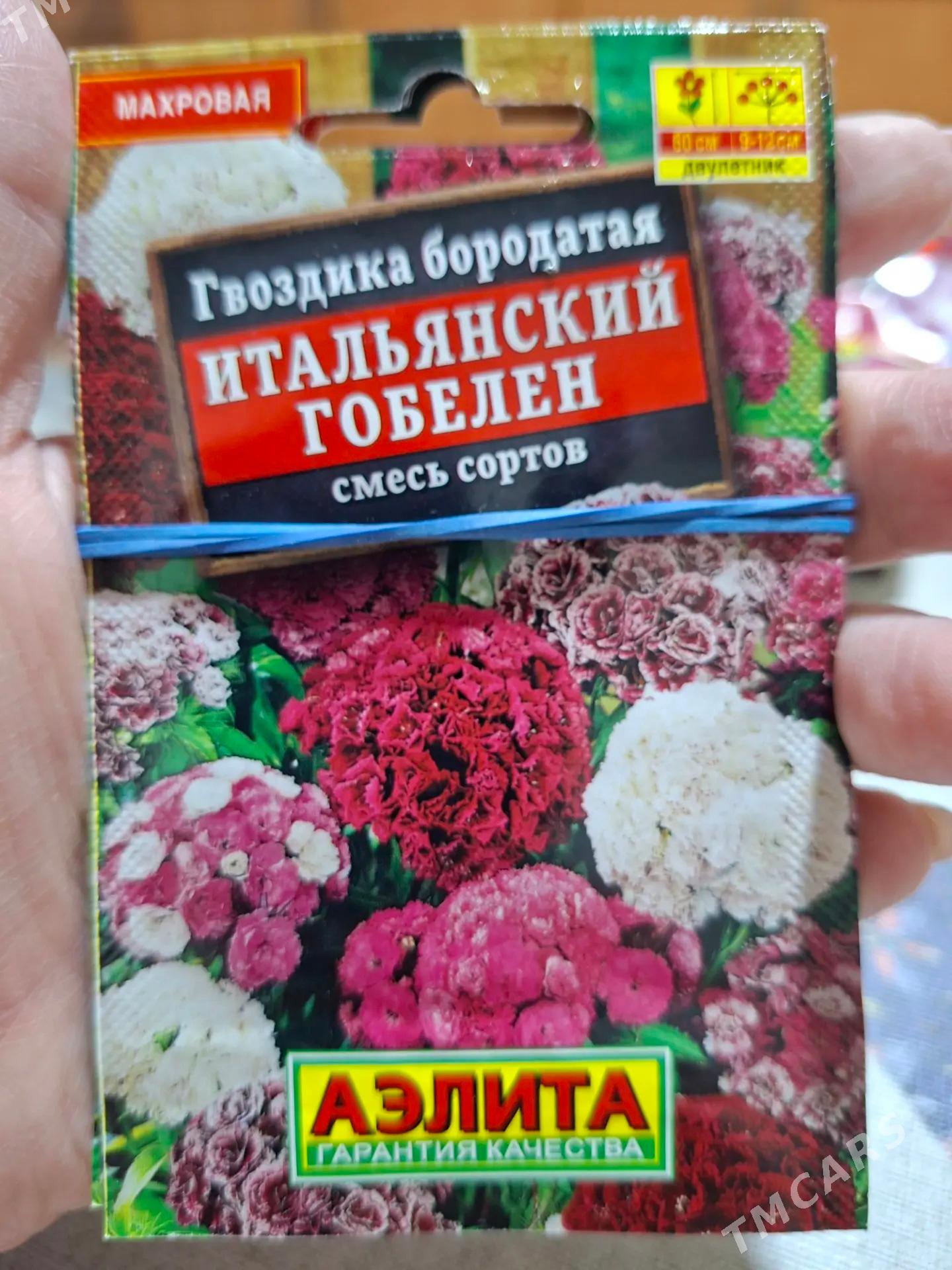 семена цветов Россия - Ашхабад - img 9