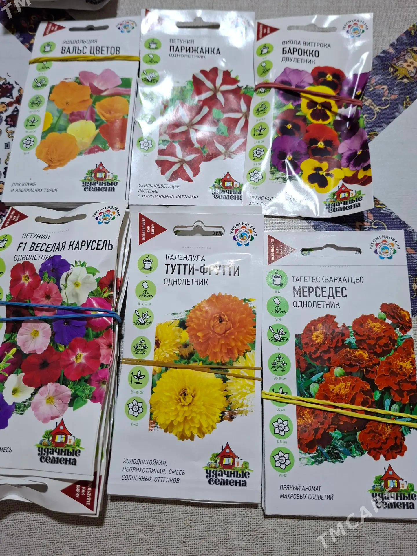 семена цветов Россия - Ашхабад - img 3