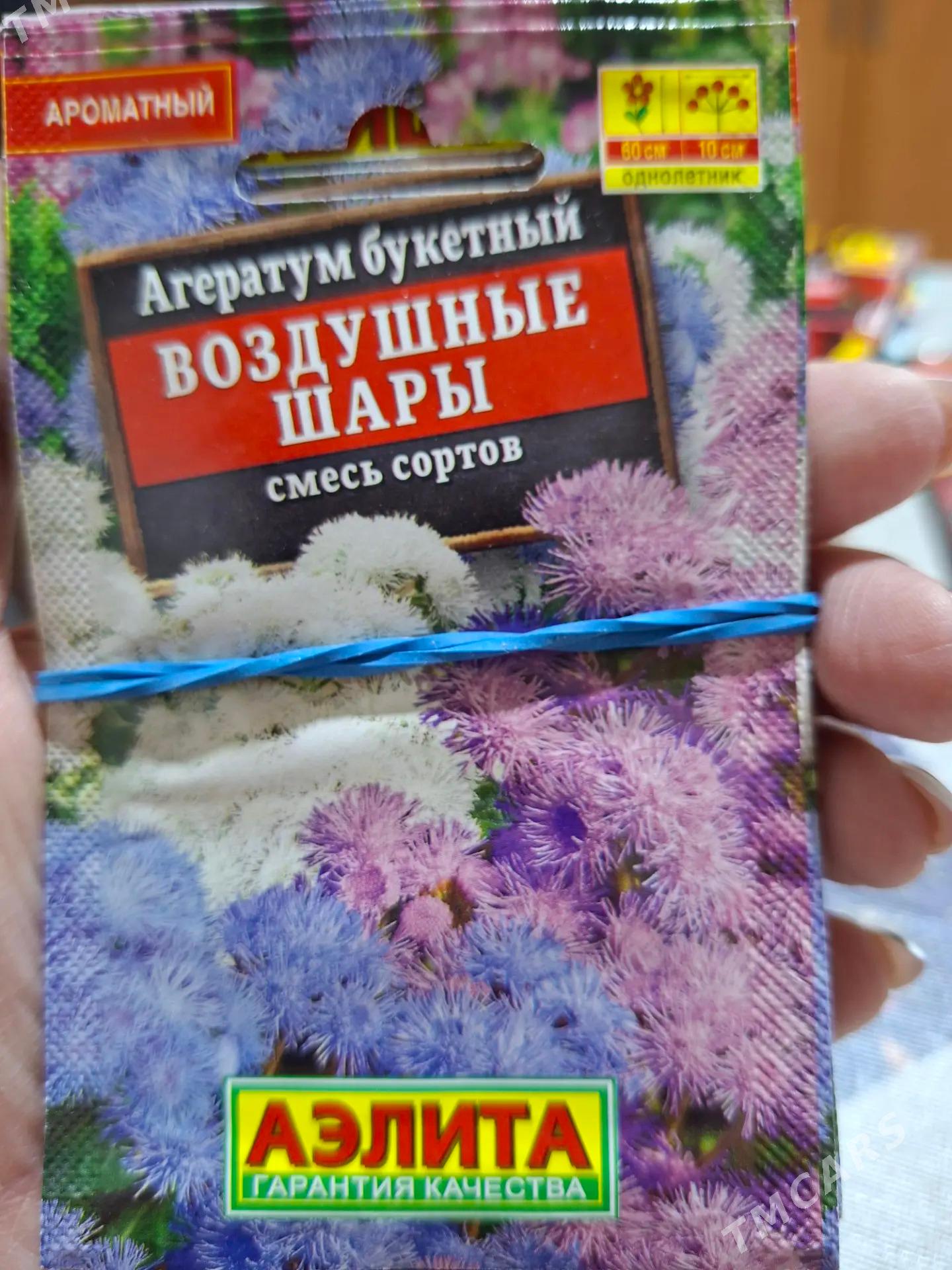 семена цветов Россия - Ашхабад - img 10