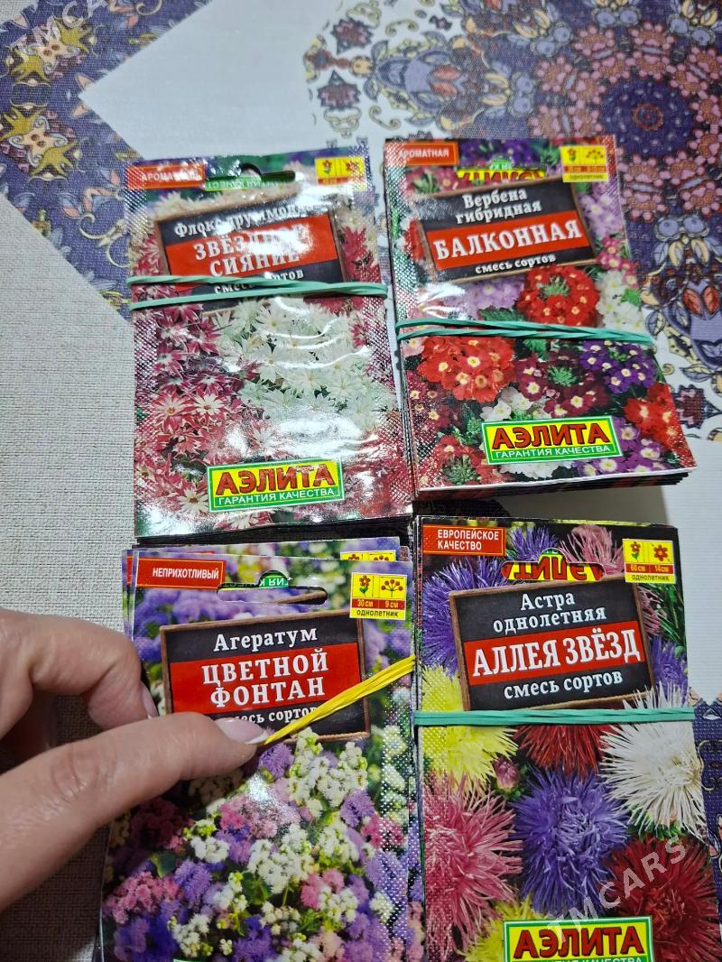 семена цветов Россия - Ашхабад - img 6