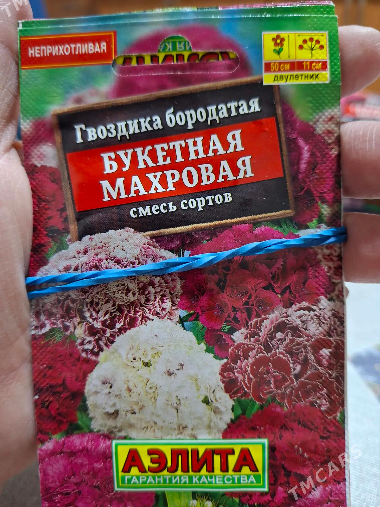 семена цветов Россия - Ашхабад - img 7