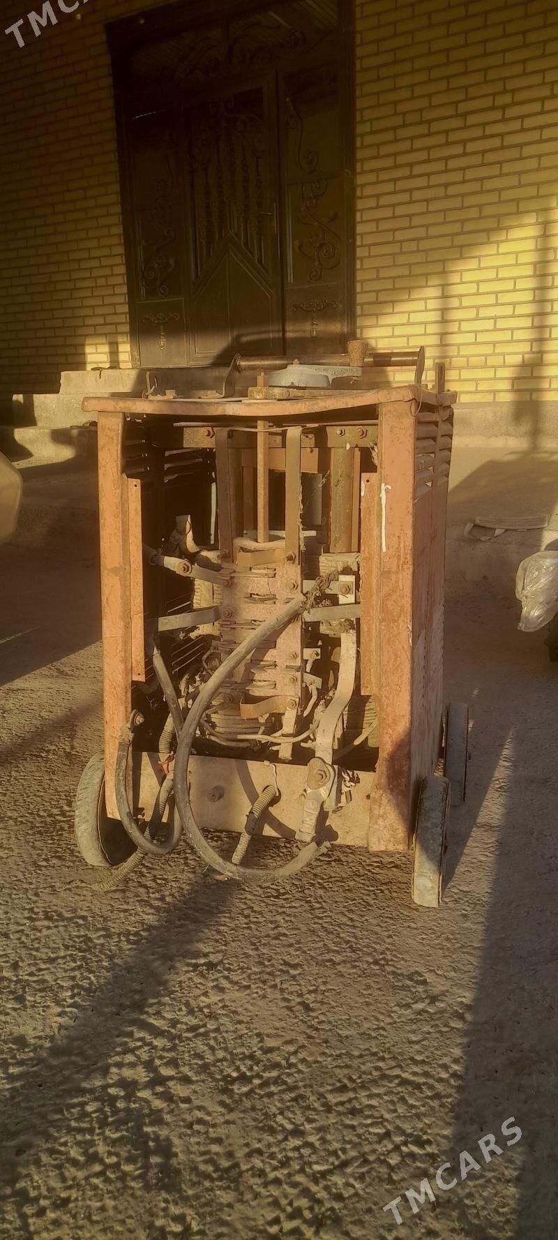 sywarka - Mary - img 3