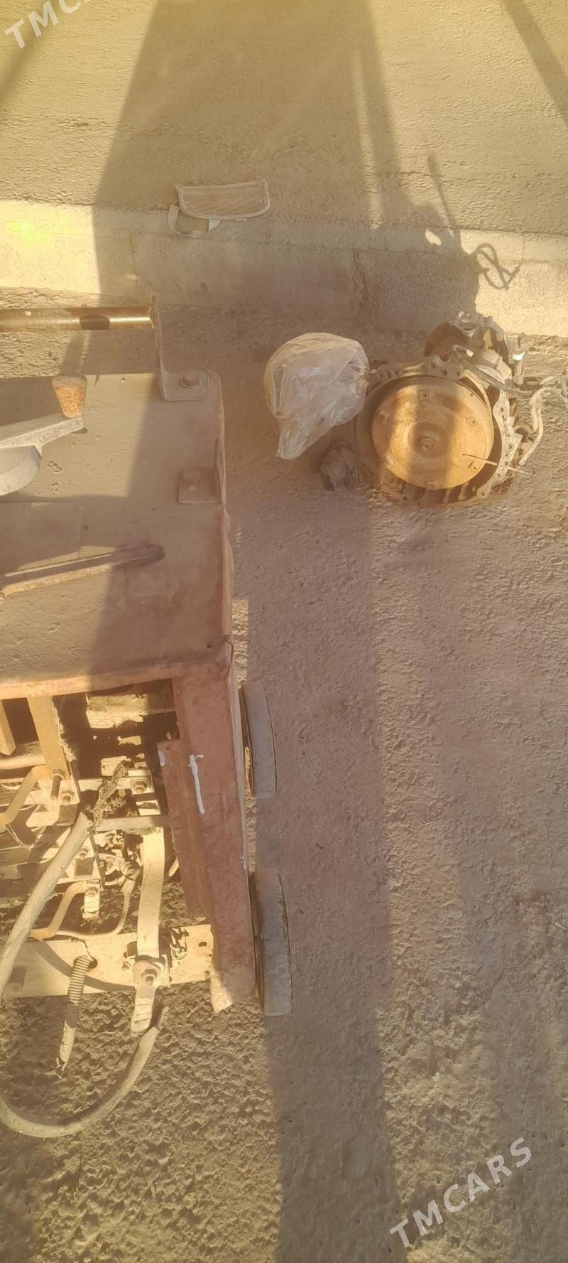 sywarka - Mary - img 4