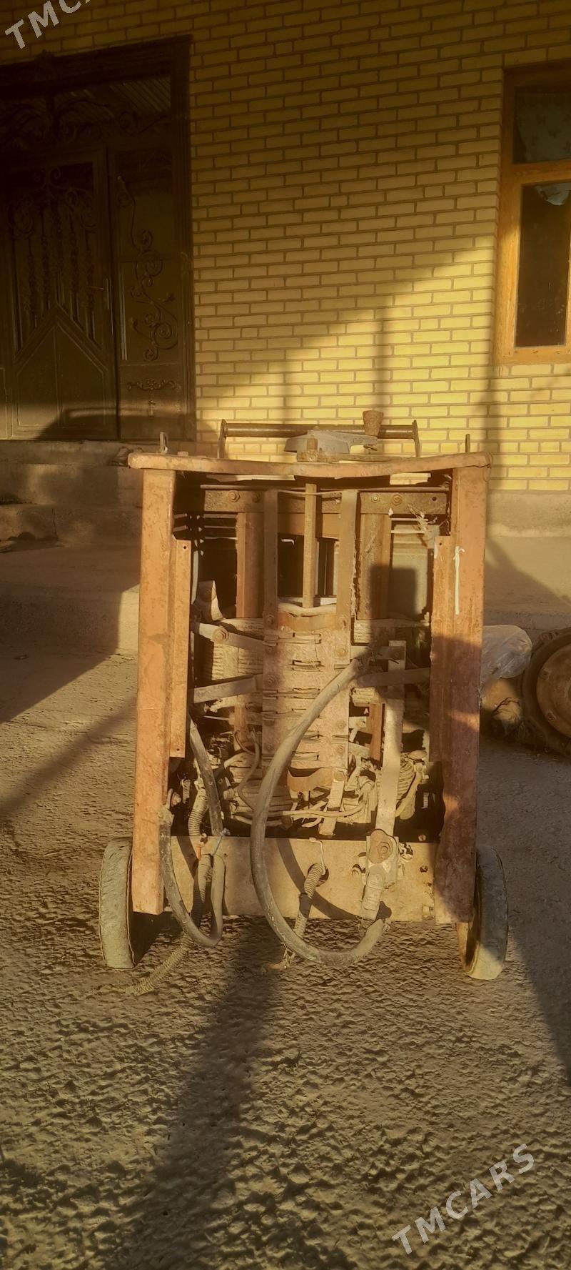 sywarka - Mary - img 5