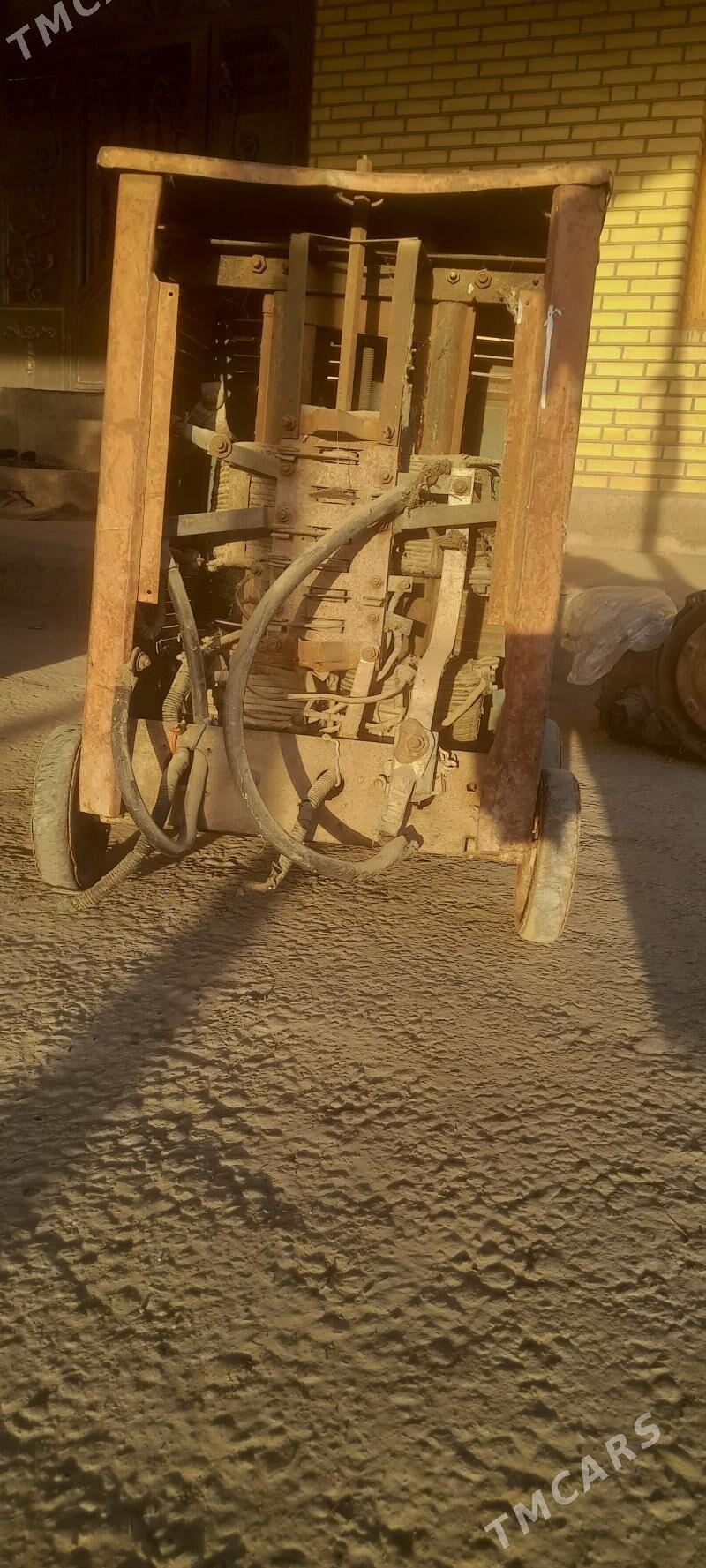 sywarka - Mary - img 8