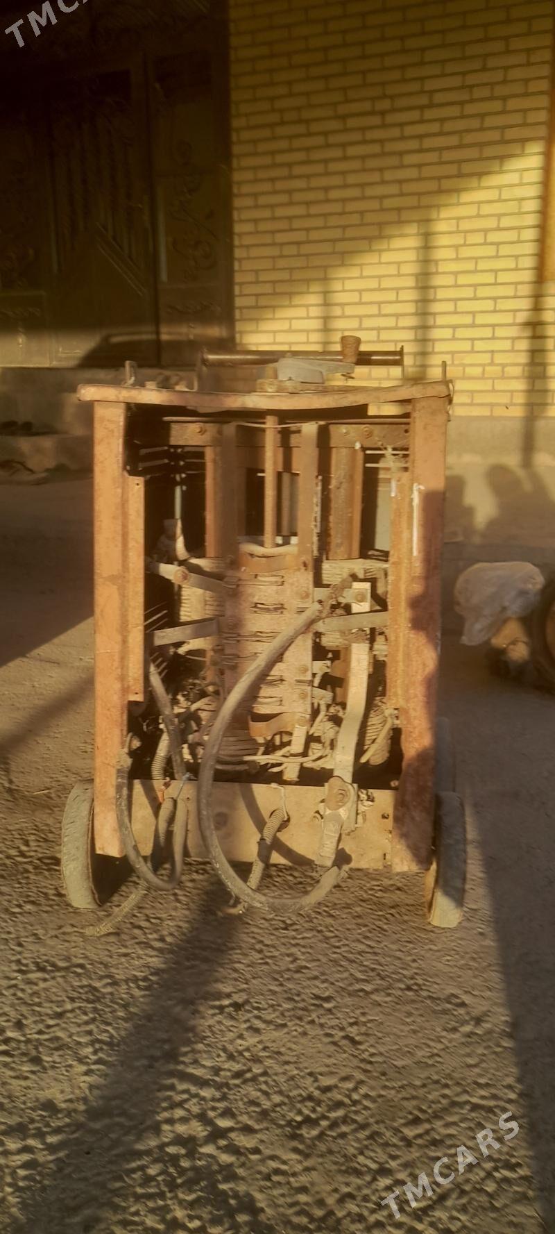 sywarka - Mary - img 7