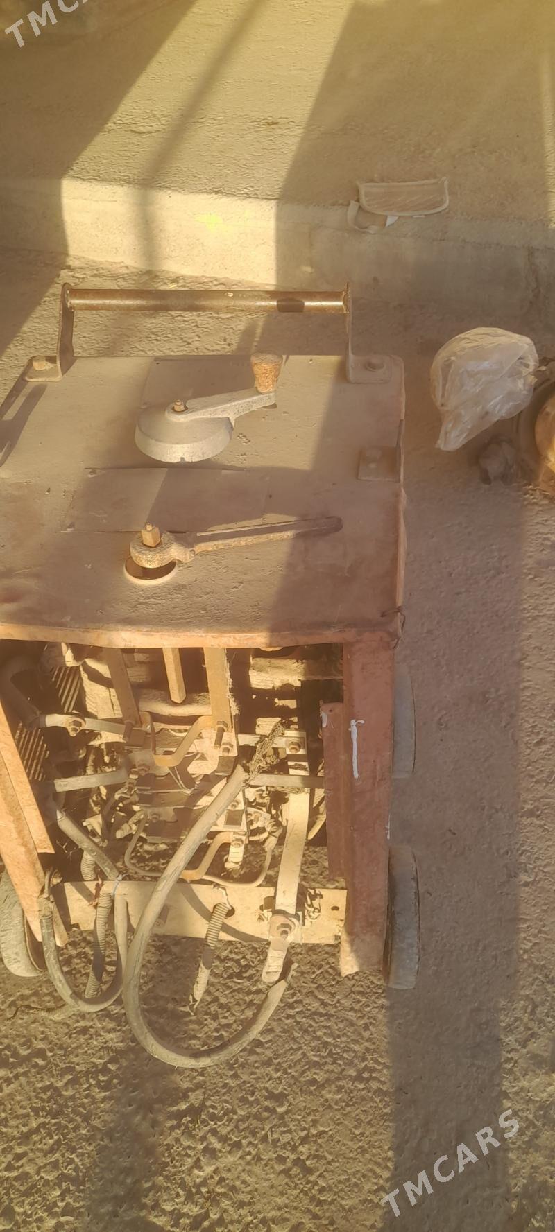 sywarka - Mary - img 1