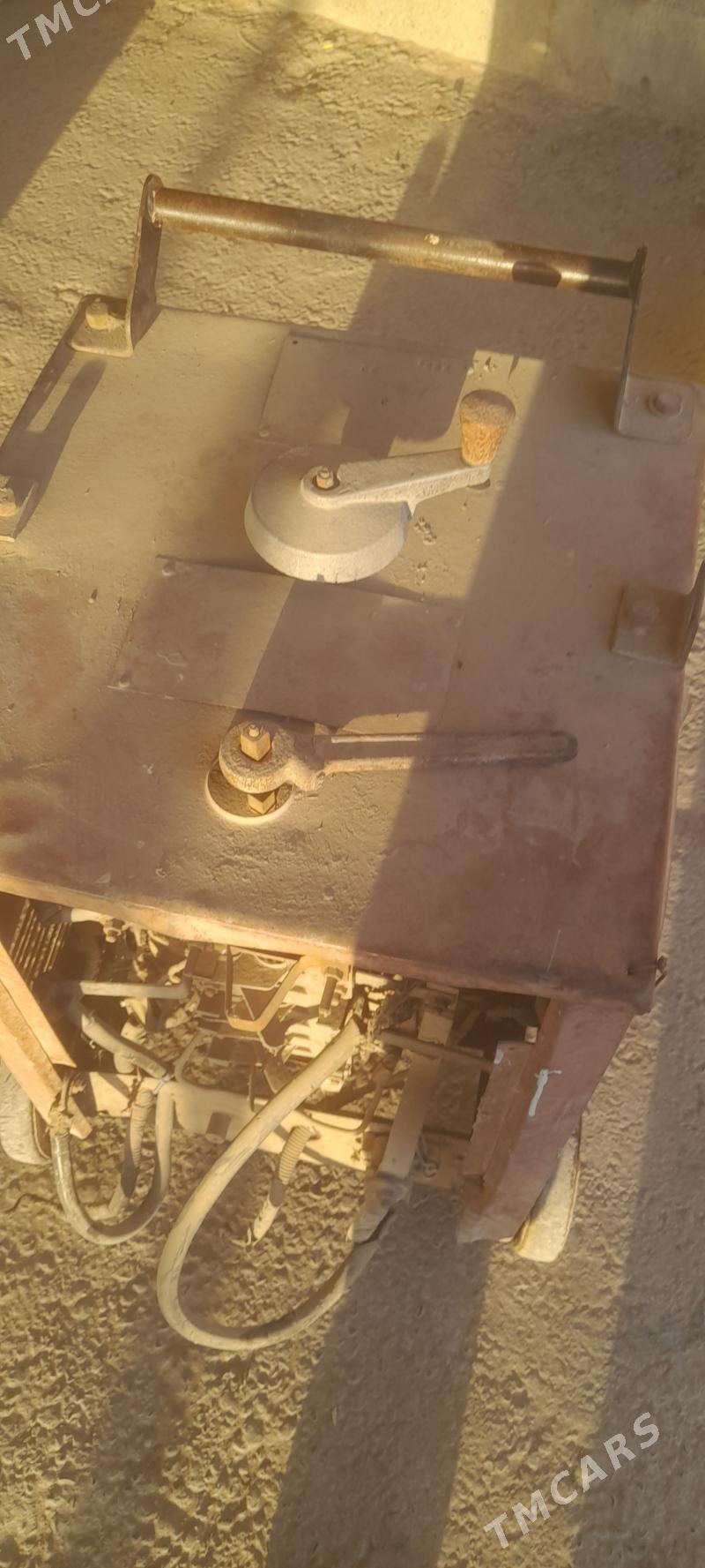 sywarka - Mary - img 2