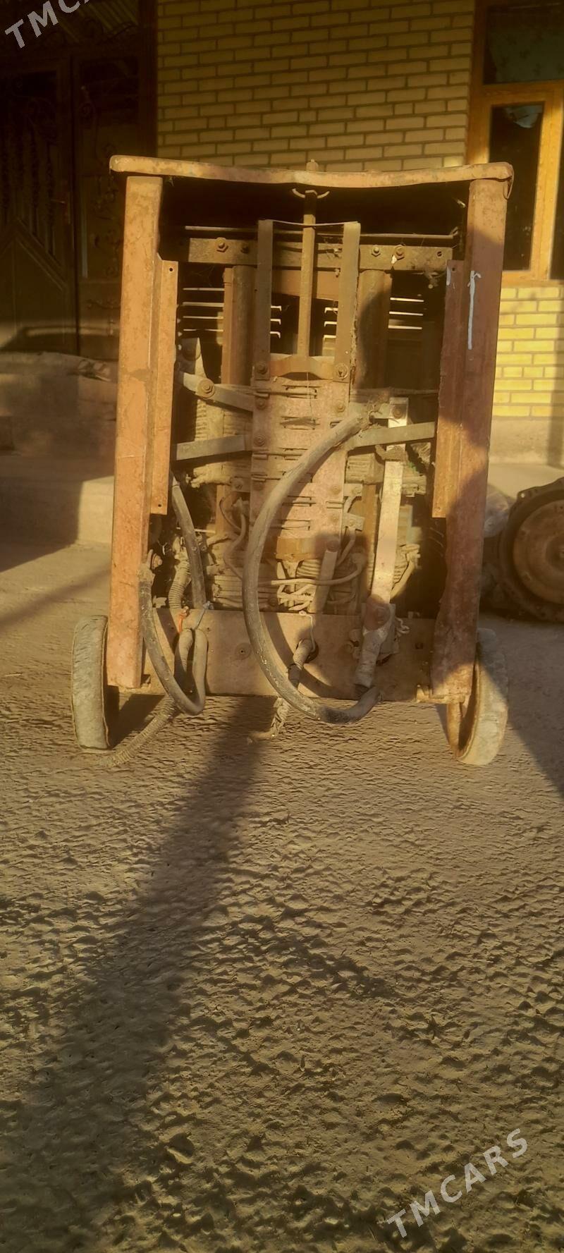 sywarka - Mary - img 6