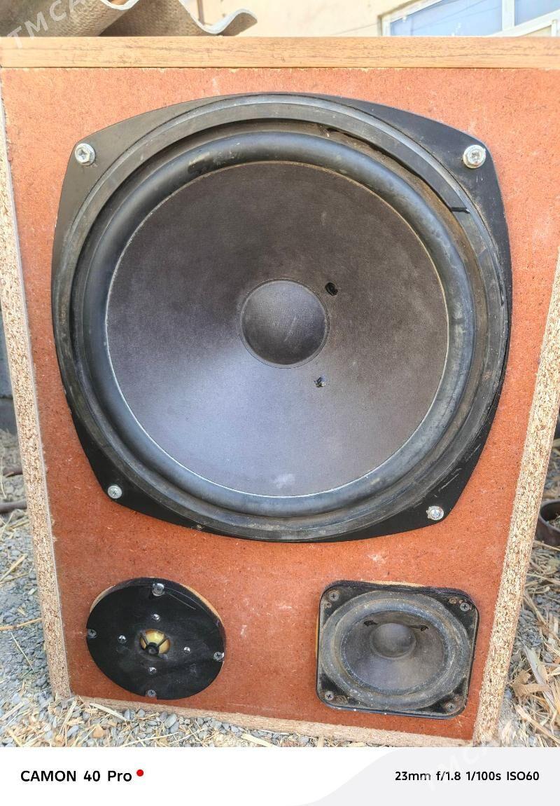 bocka - Büzmeýin - img 2