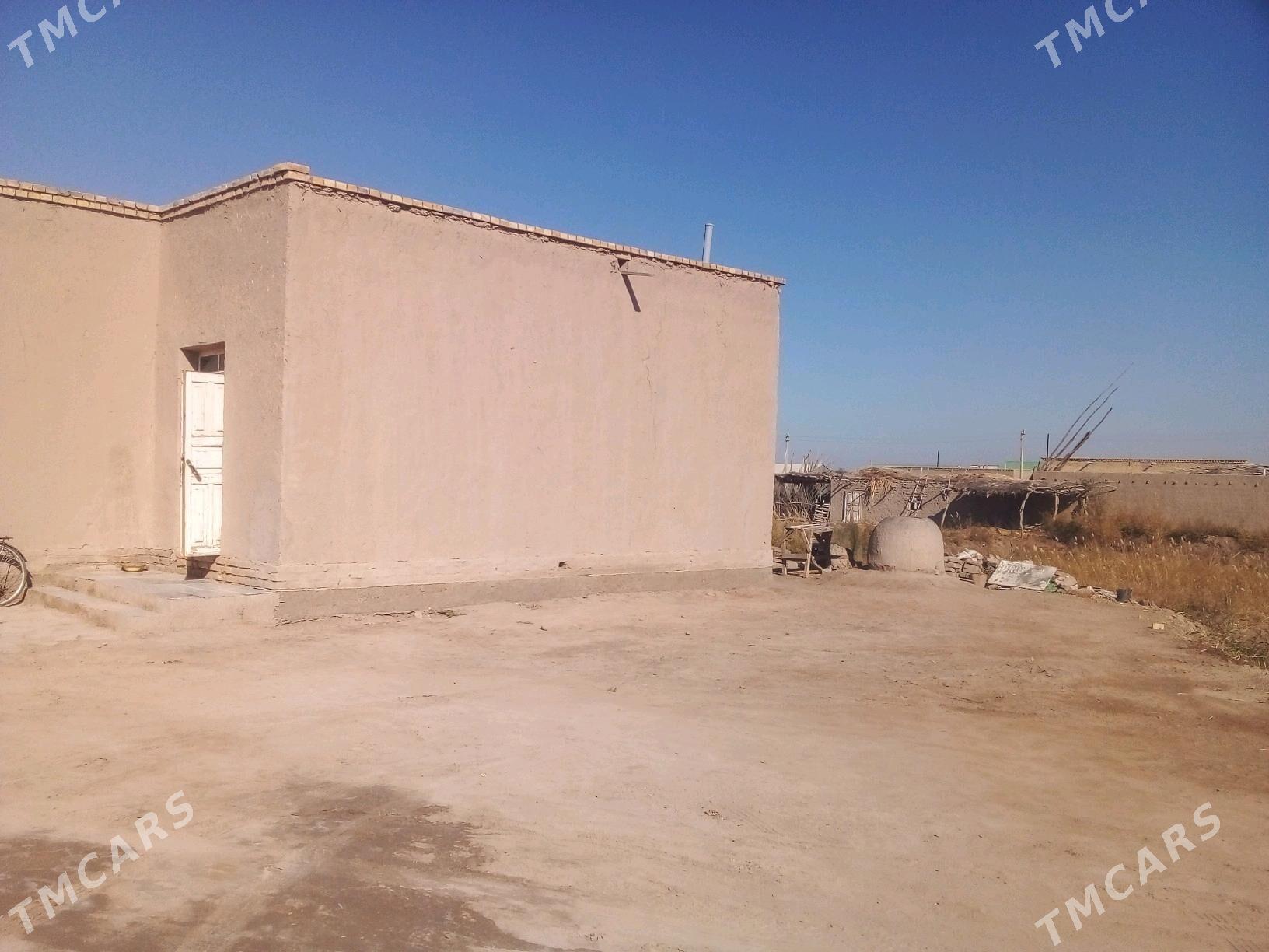 jay - Köneürgenç - img 2