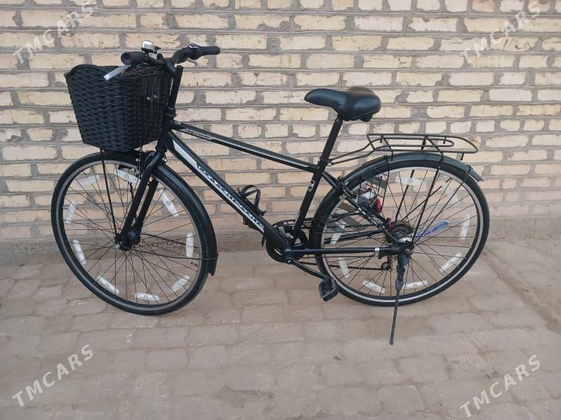 Welosipet - Mary - img 2