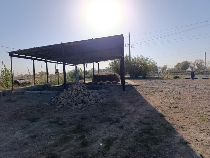 uly ýoluň gyrasy Sakarçäge - Mary - img 5