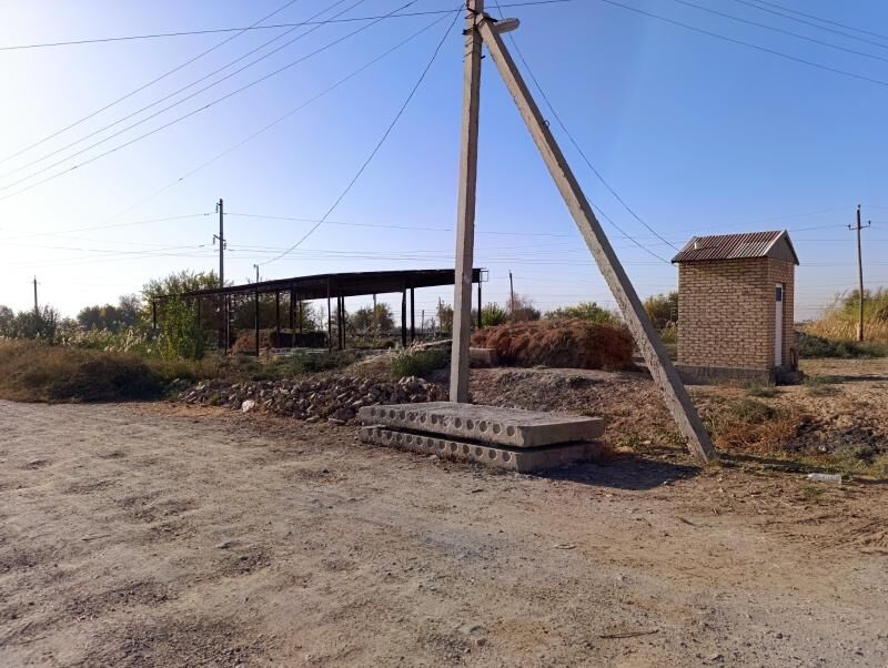 uly ýoluň gyrasy Sakarçäge - Mary - img 4