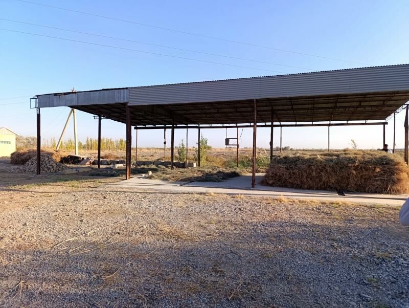 uly ýoluň gyrasy Sakarçäge - Mary - img 2