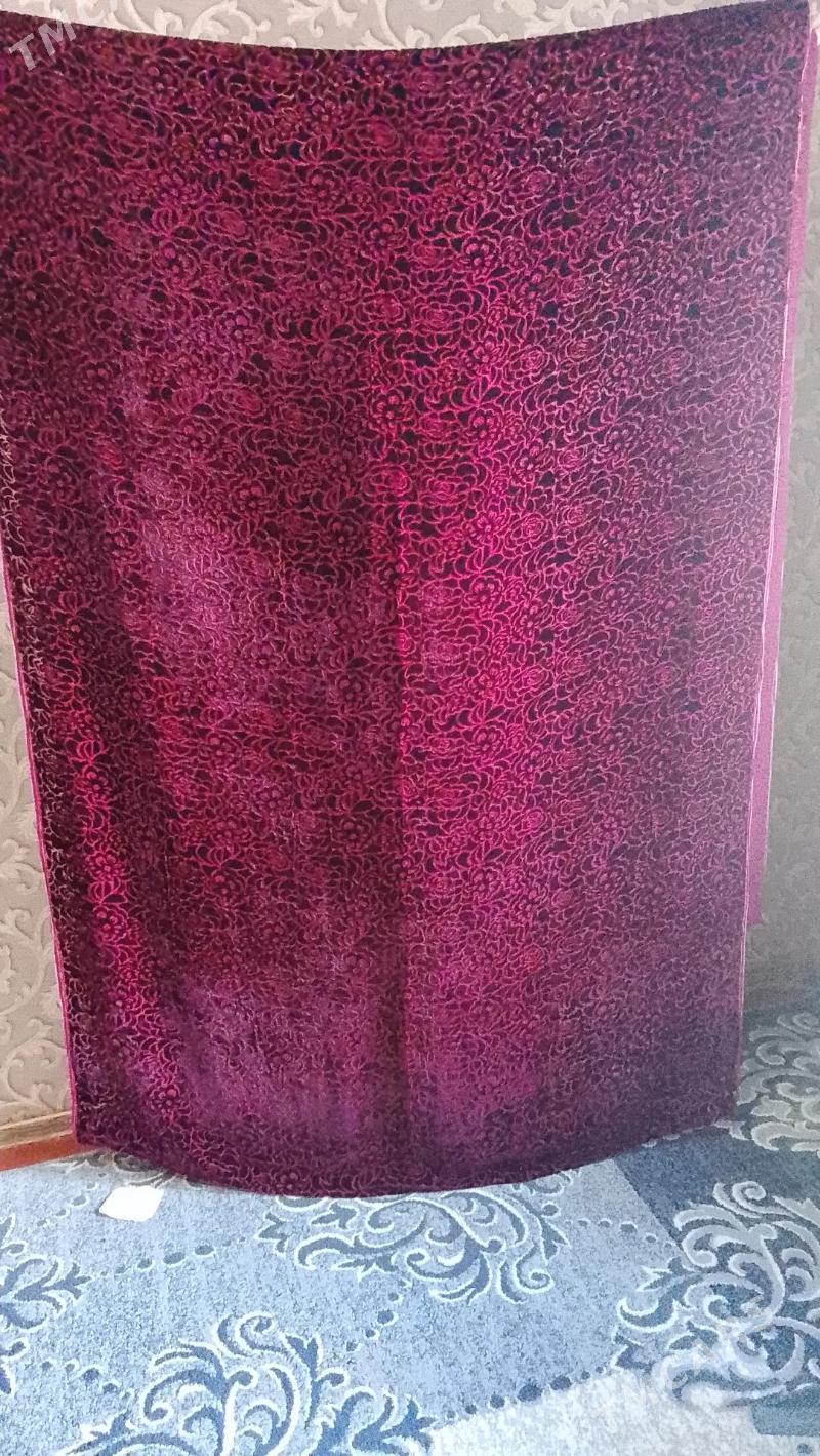 Setka gadymy - Balkanabat - img 1