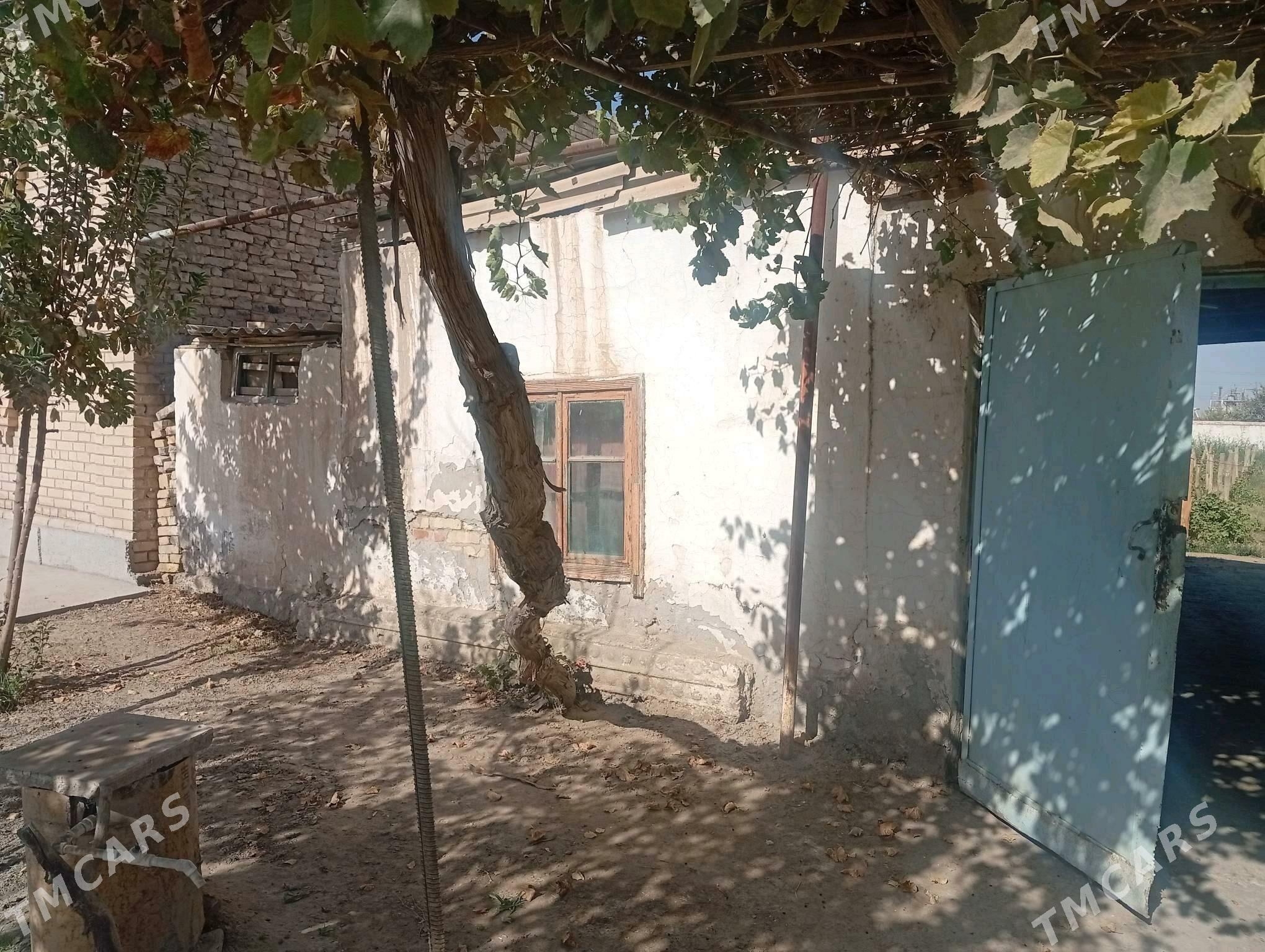 Satlyk jay - Чарджоу - img 2