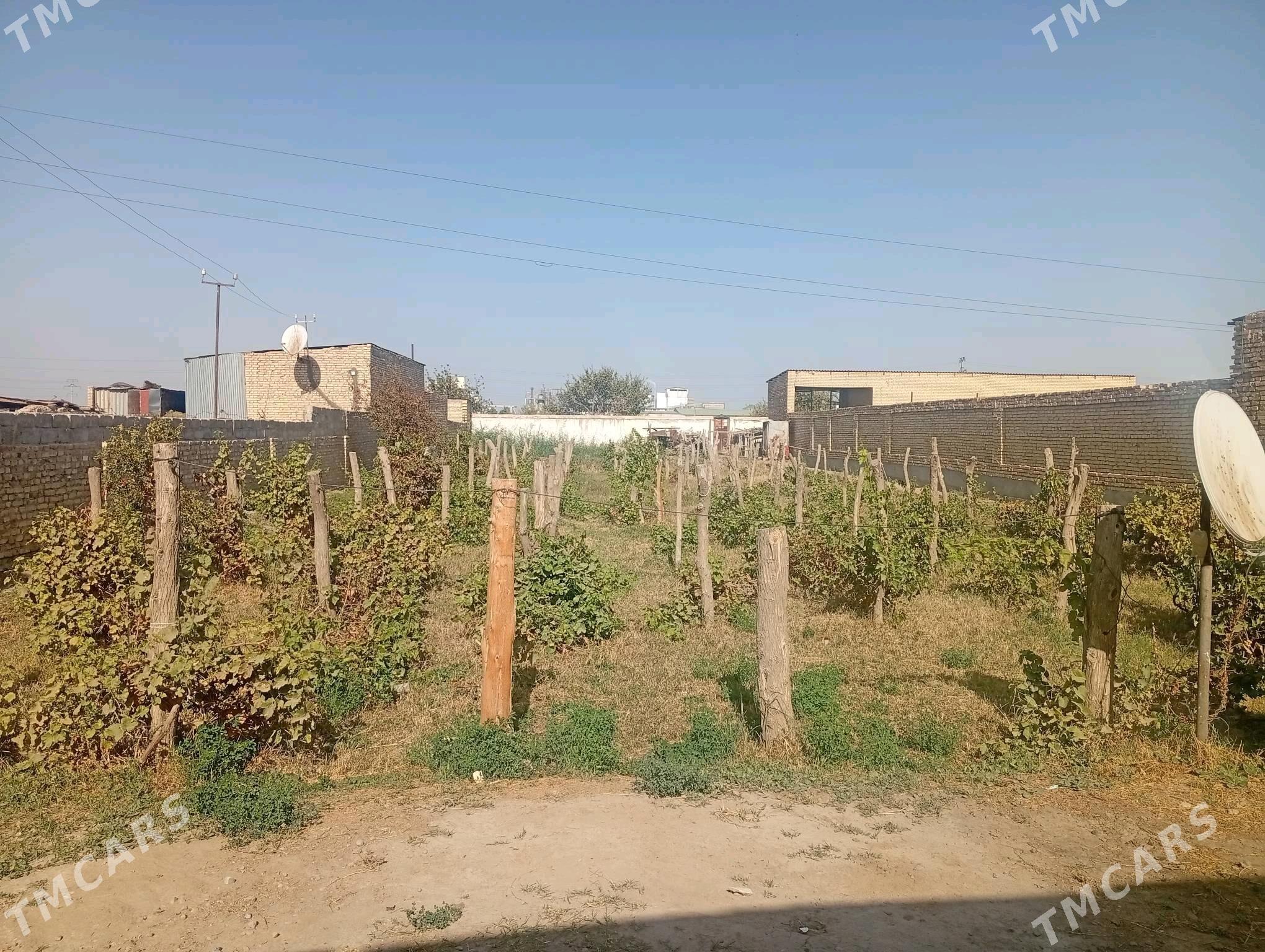 Satlyk jay - Чарджоу - img 4