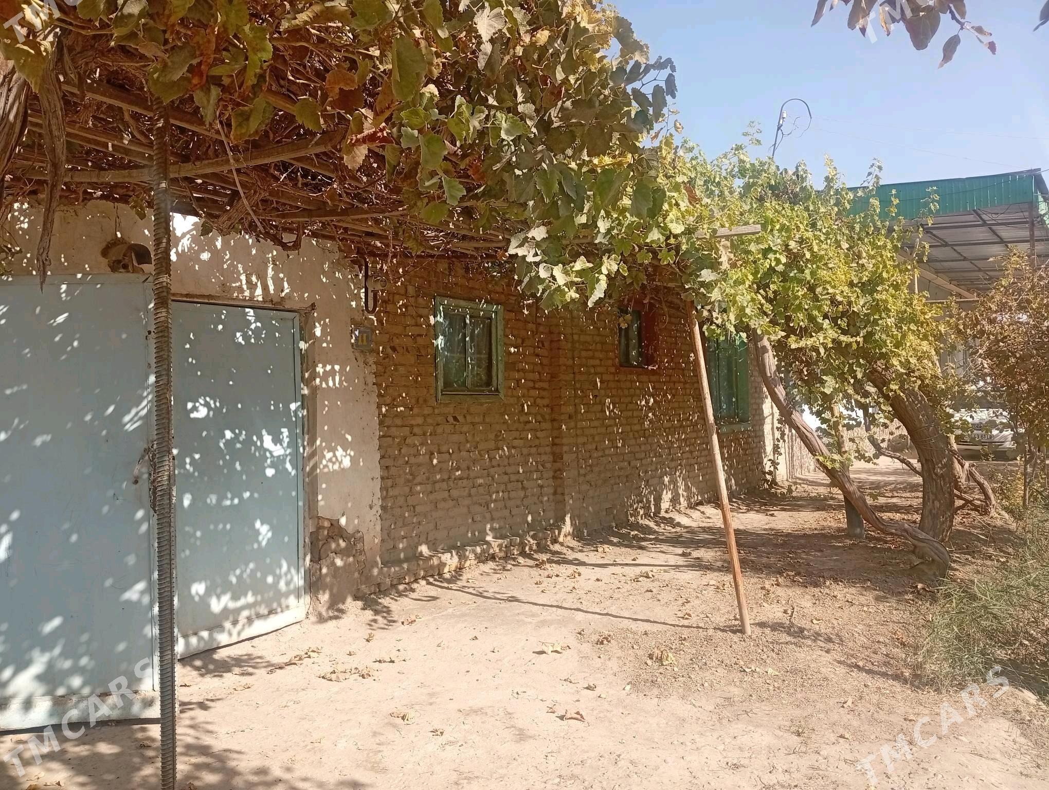 Satlyk jay - Чарджоу - img 1