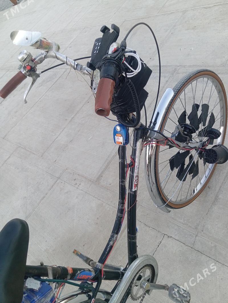 Tigir - Кака - img 1