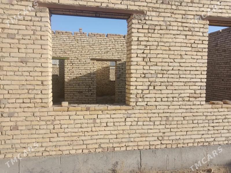 Satlyk çöl mellek - Саят - img 1