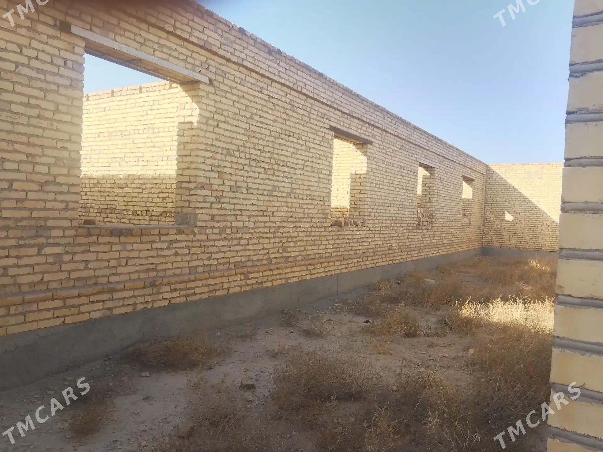 Satlyk çöl mellek - Саят - img 6