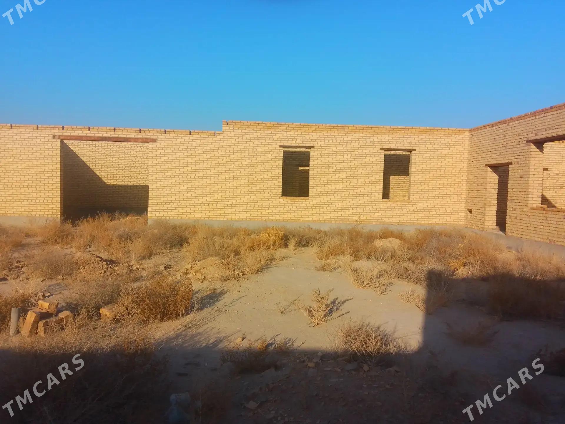 Satlyk çöl mellek - Саят - img 5