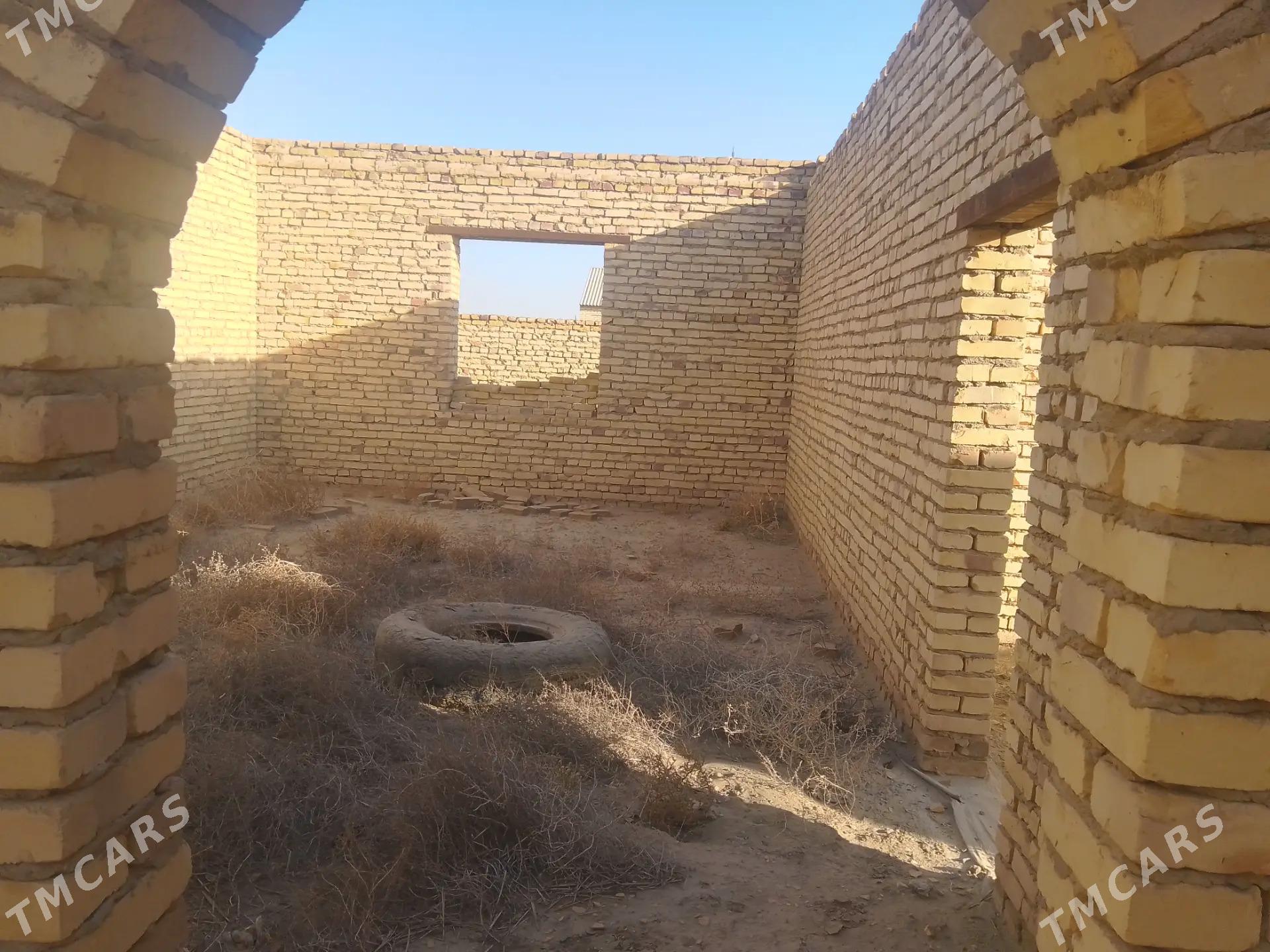 Satlyk çöl mellek - Саят - img 9