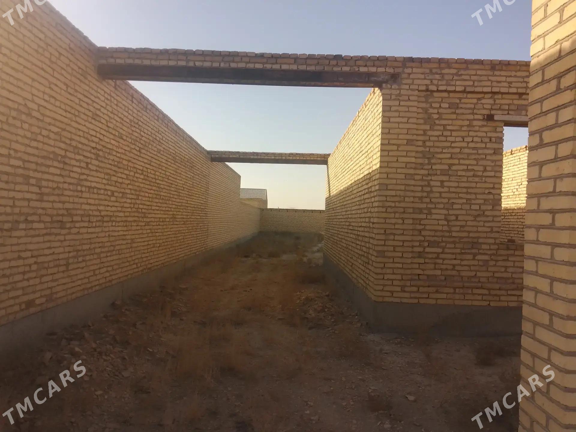 Satlyk çöl mellek - Саят - img 8