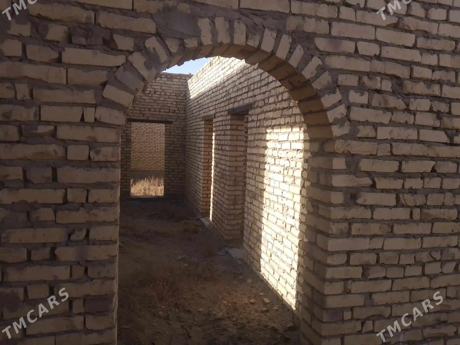 Satlyk çöl mellek - Саят - img 7