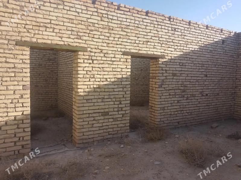 Satlyk çöl mellek - Саят - img 3