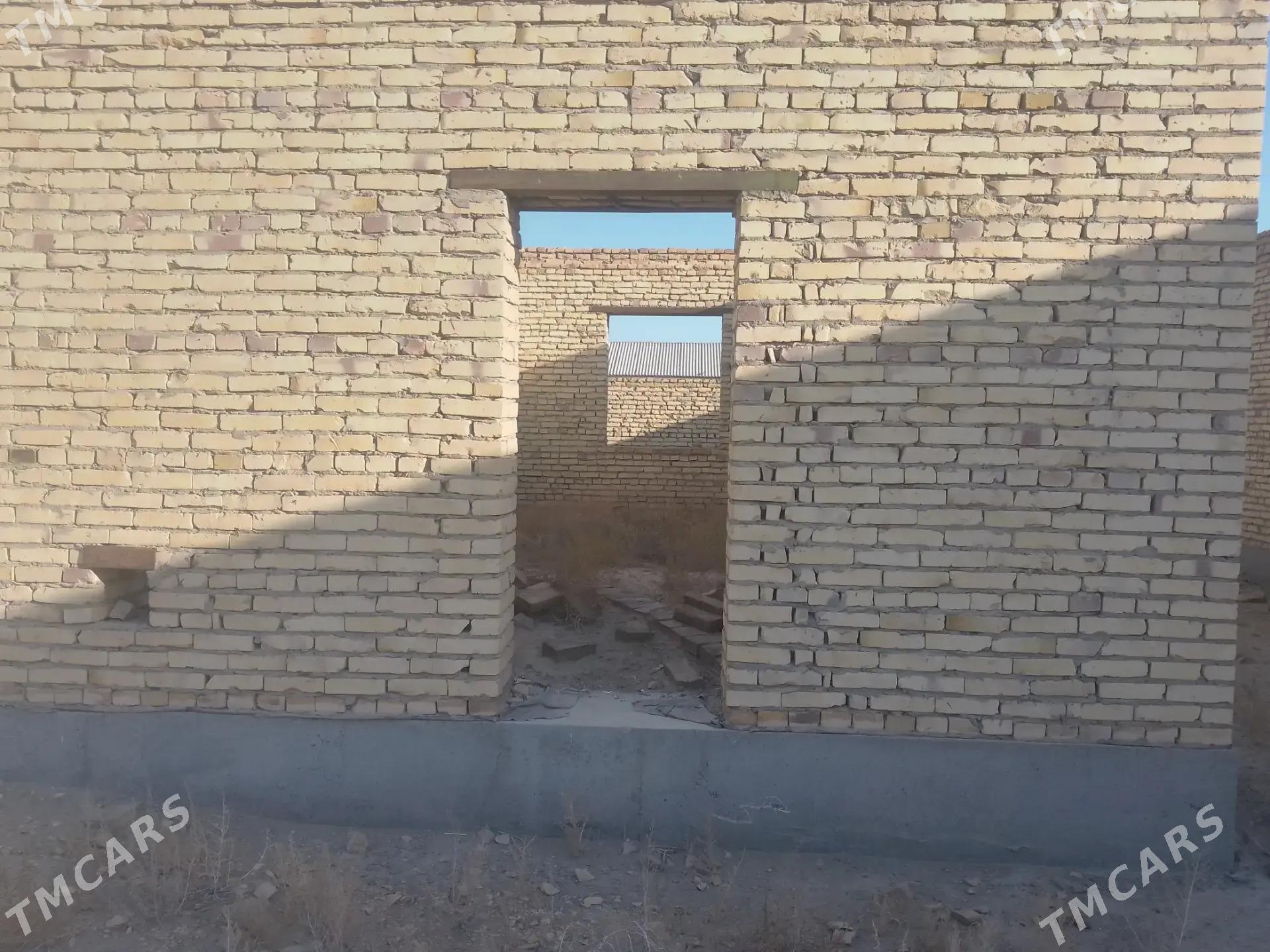 Satlyk çöl mellek - Саят - img 2