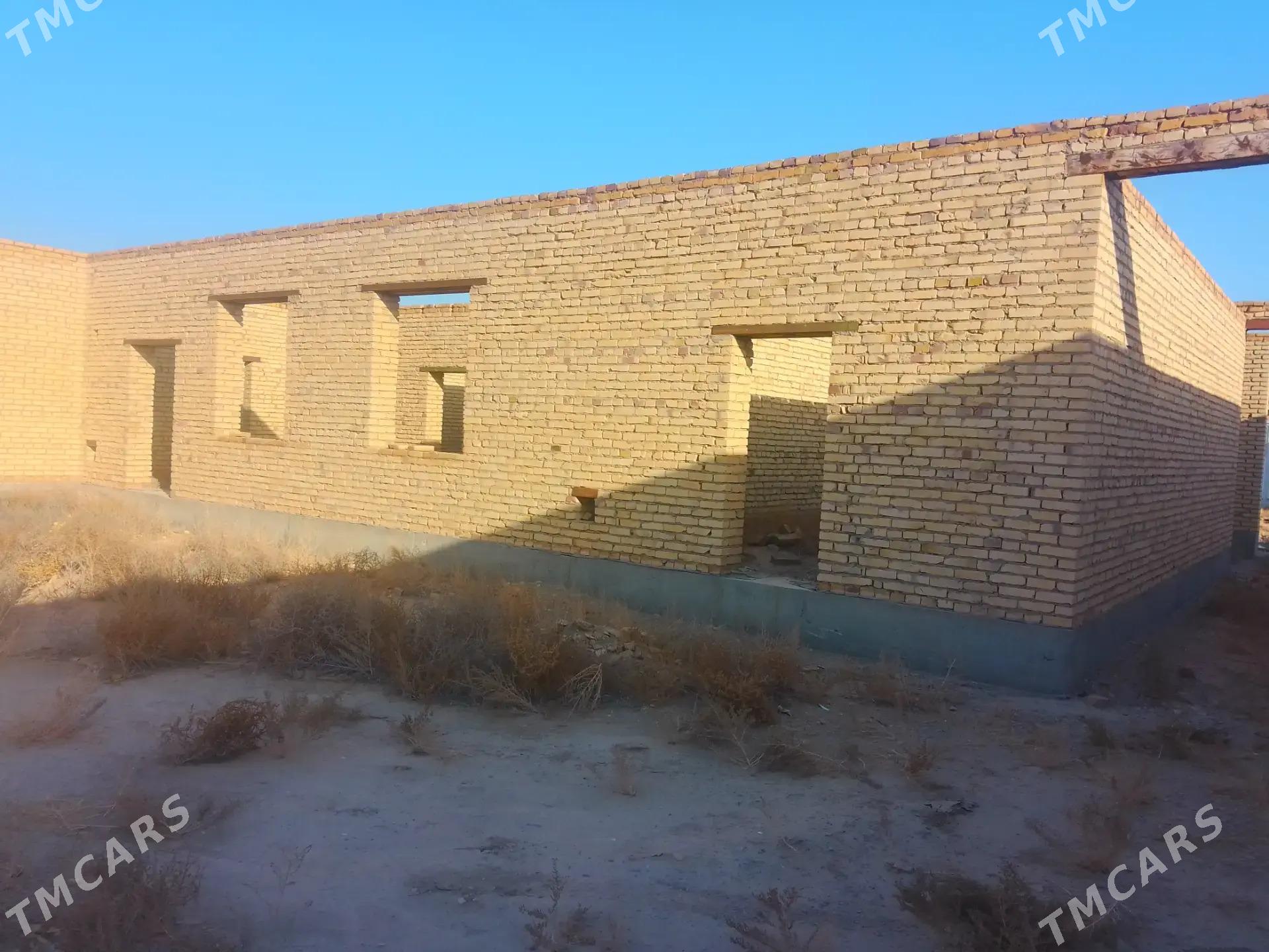 Satlyk çöl mellek - Саят - img 4