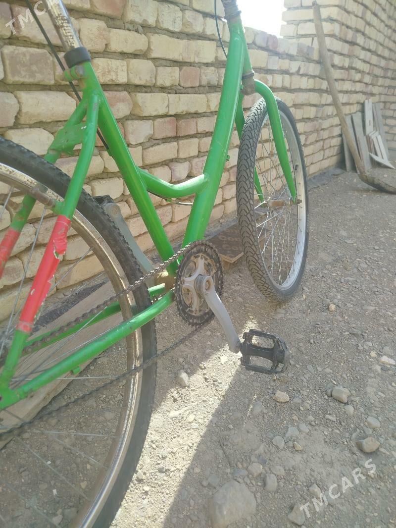 Tigir 26 lyk - Bäherden - img 3