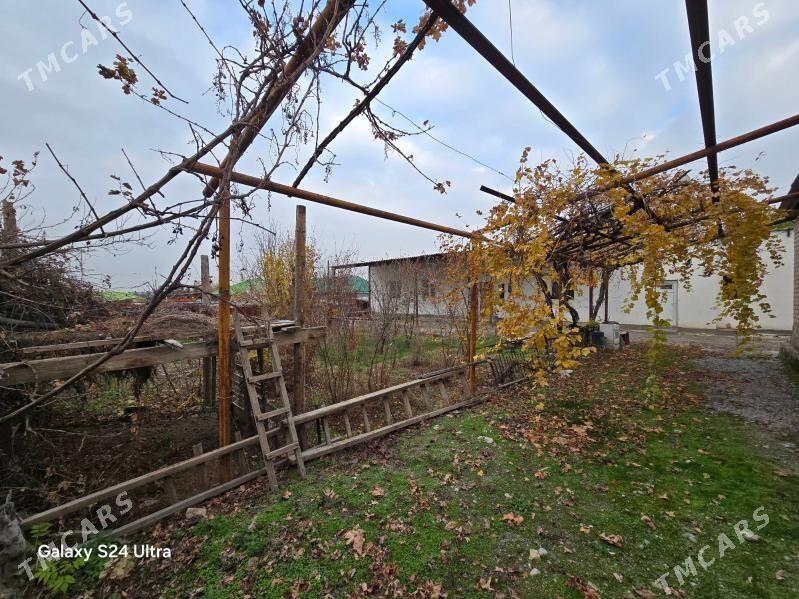 Yanbas  Янбаш - Янбаш - img 2