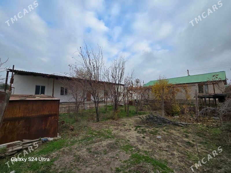 Yanbas  Янбаш - Янбаш - img 4