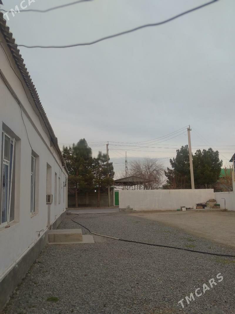 yasman salyk - Бузмеин - img 2