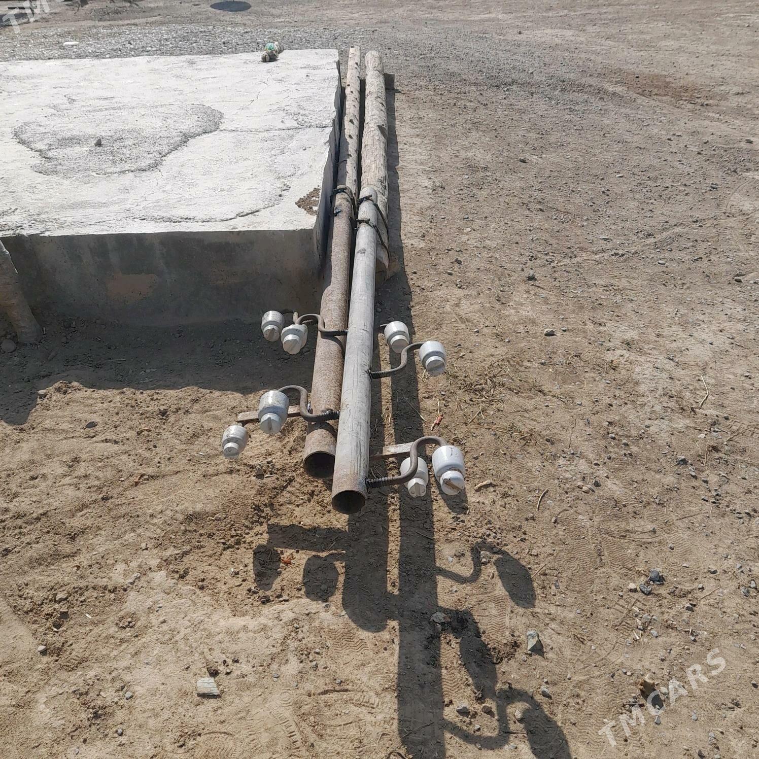 agaç isdalba - Яшлык - img 1