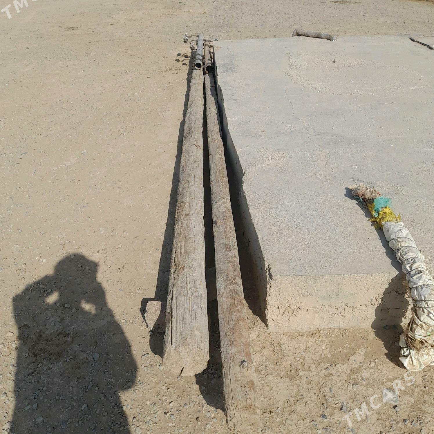 agaç isdalba - Яшлык - img 2