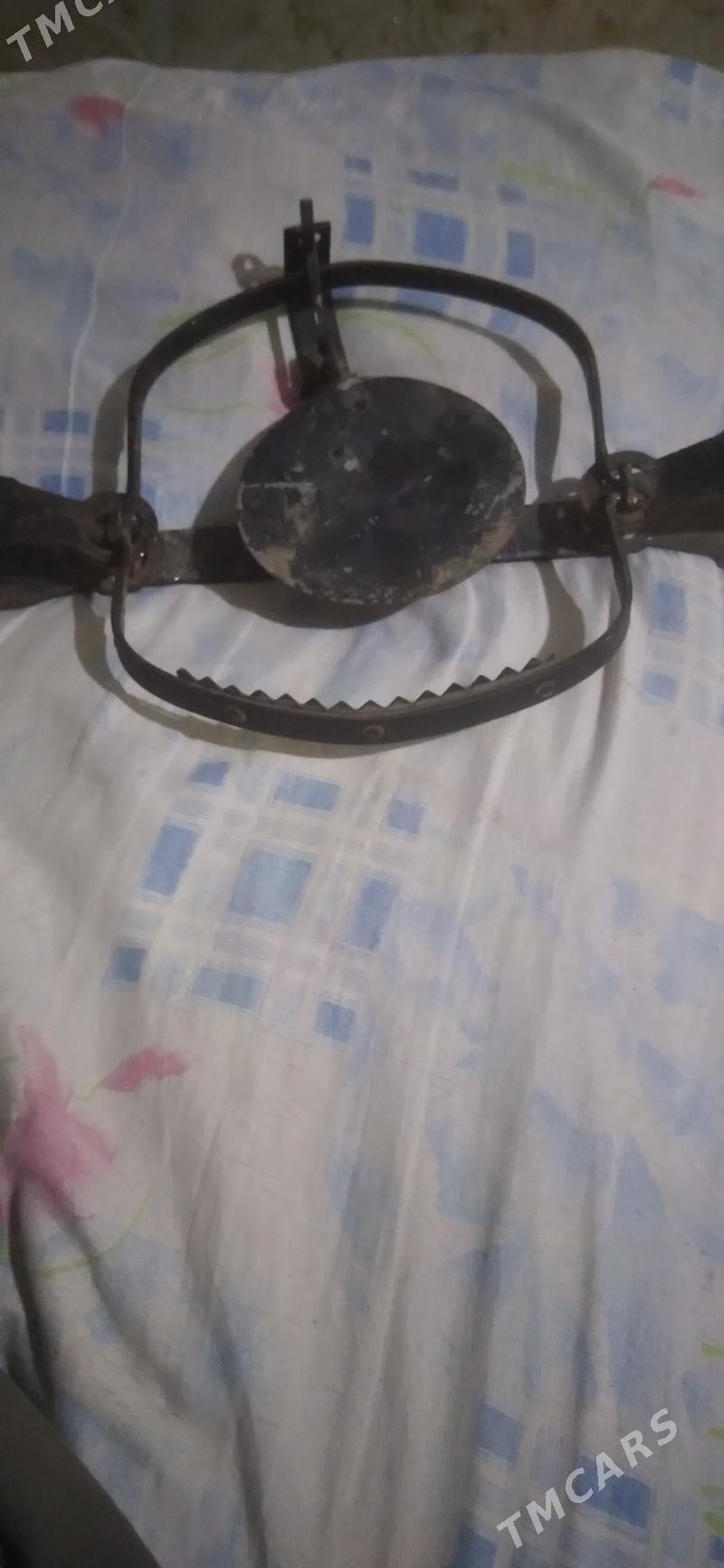 гапан - Мары - img 2