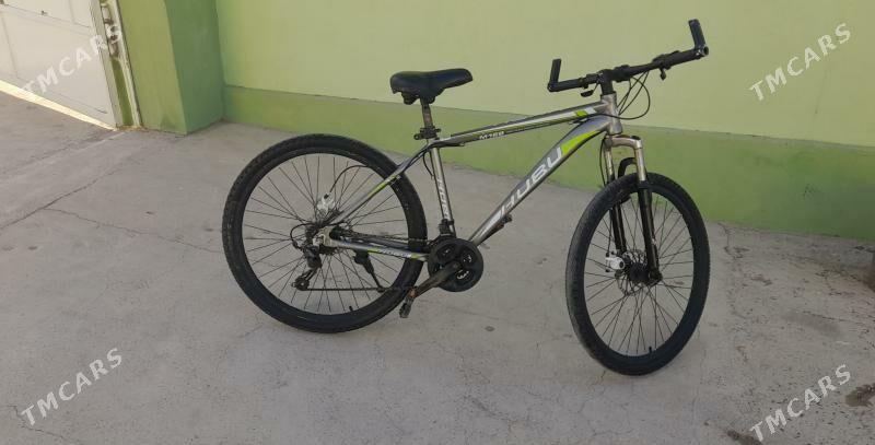 Tigir - Ак-Бугдайский этрап - img 1