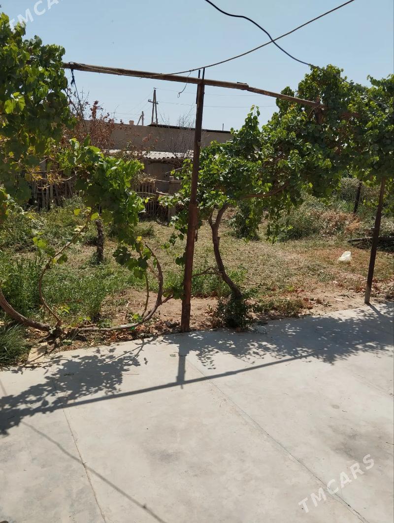 satlyk jay - Байрамали - img 5