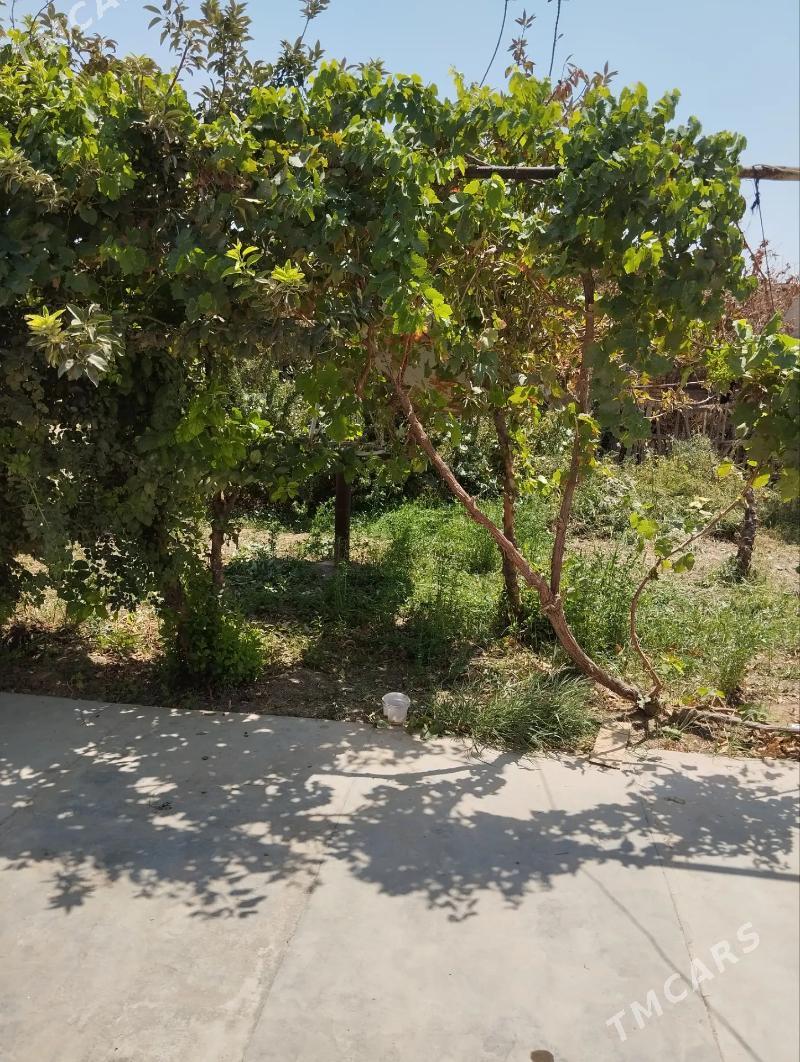 satlyk jay - Байрамали - img 8