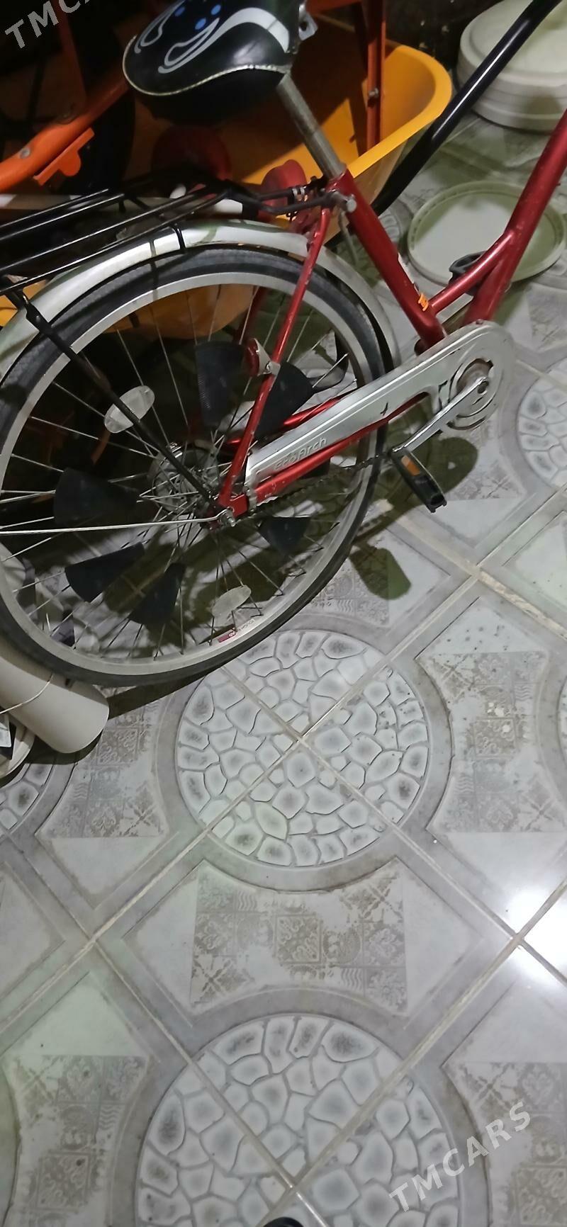 Tigir - Бузмеин - img 3