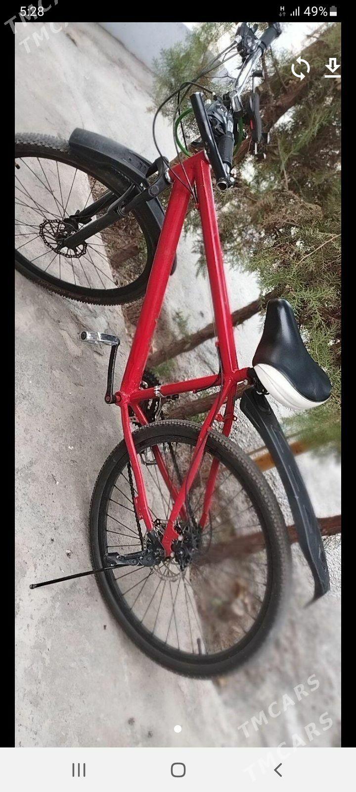 тигир - Анев - img 2